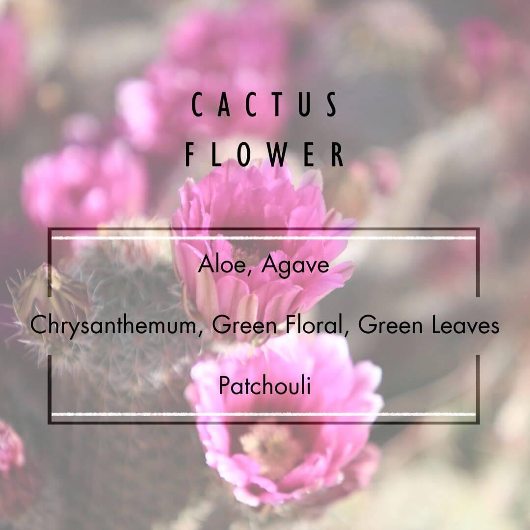 Cactus Flower Reed Diffuser  - Grand Candles LLC   