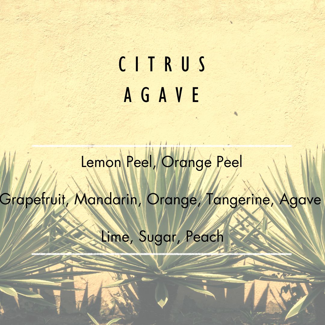 Citrus Agave Room & Linen Spray