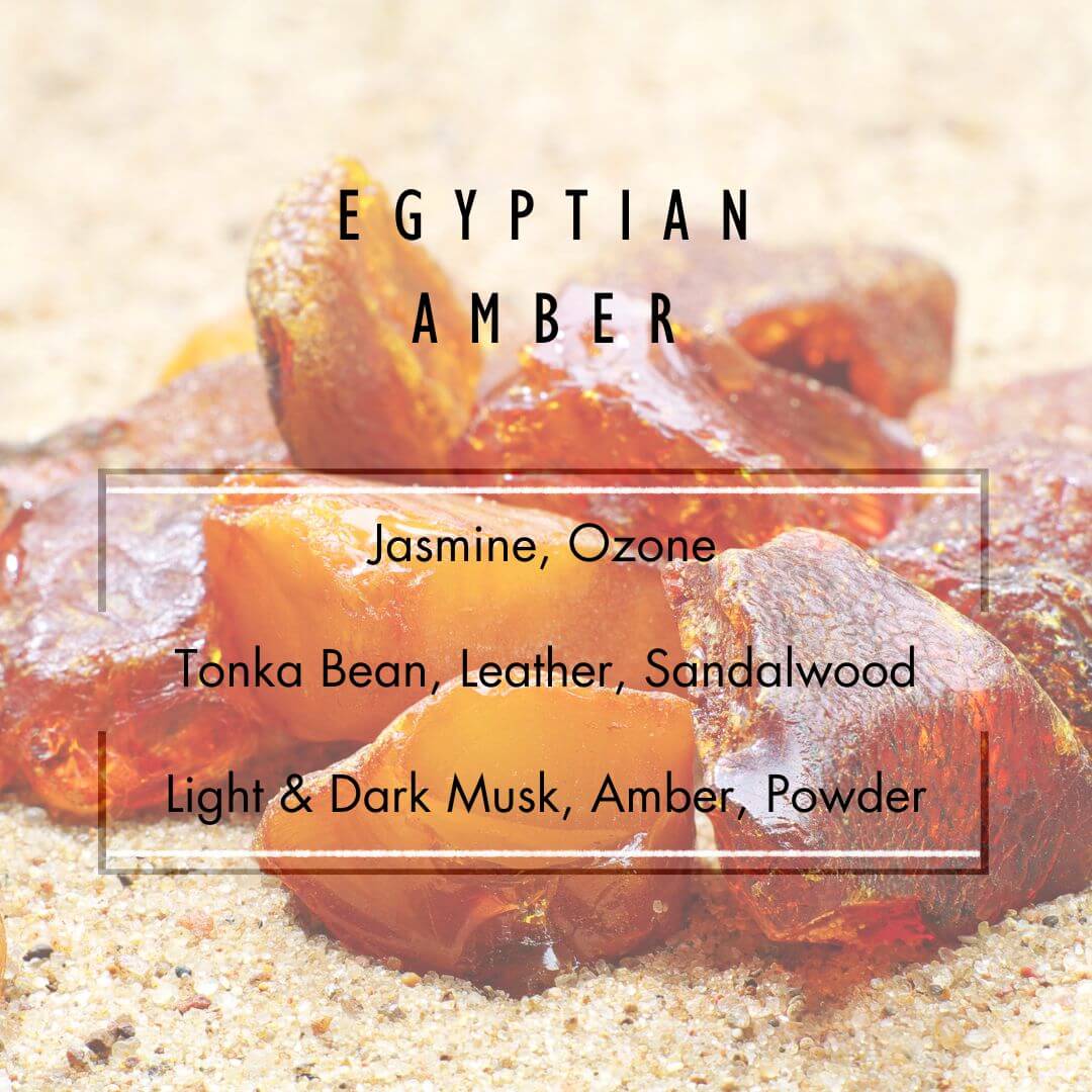 Egyptian Amber Reed Diffuser  - Grand Candles LLC   