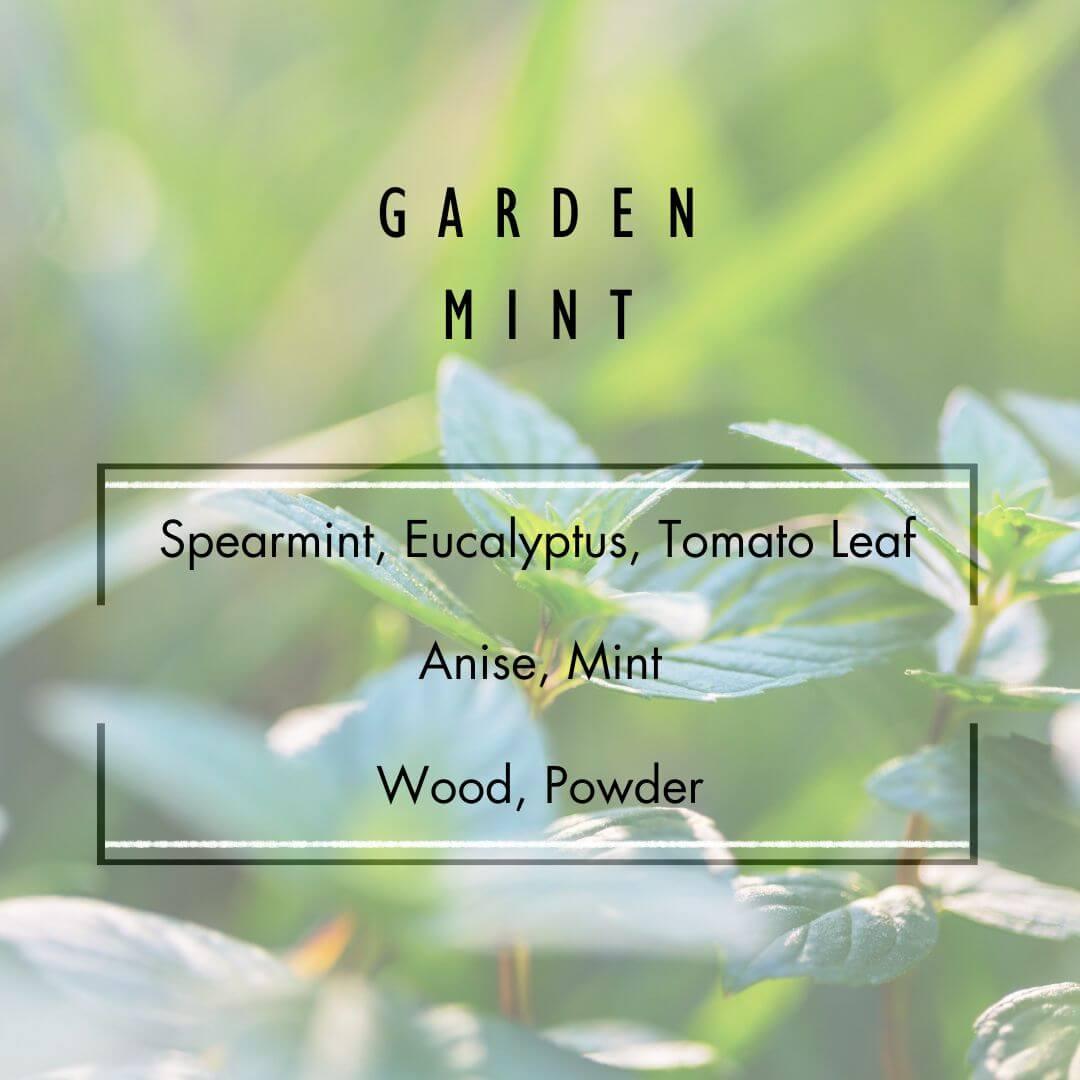 Garden Mint Reed Diffuser  - Grand Candles LLC   