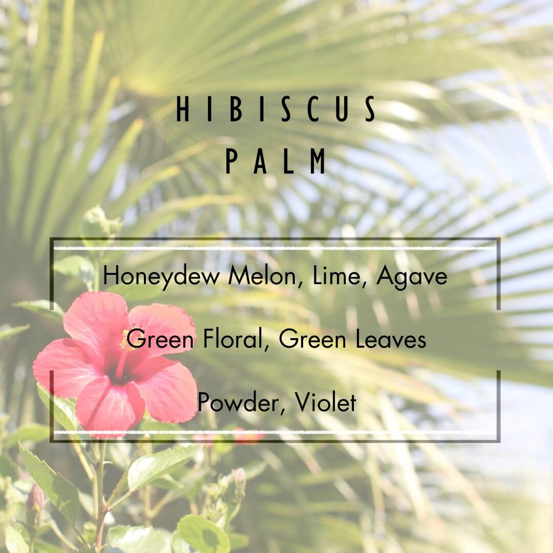 Hibiscus Palm Reed Diffuser  - Grand Candles LLC   