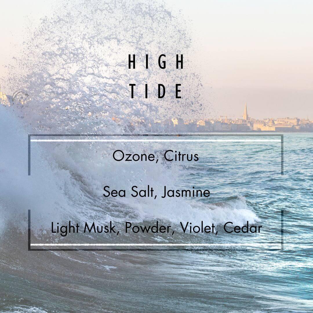 High Tide Reed Diffuser  - Grand Candles LLC   