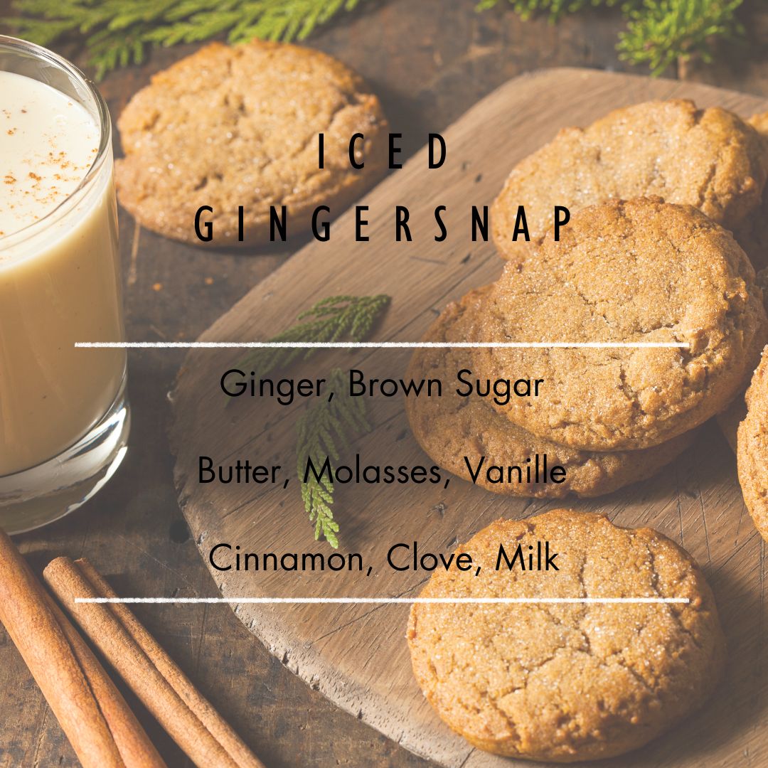 Iced Gingersnap Candle