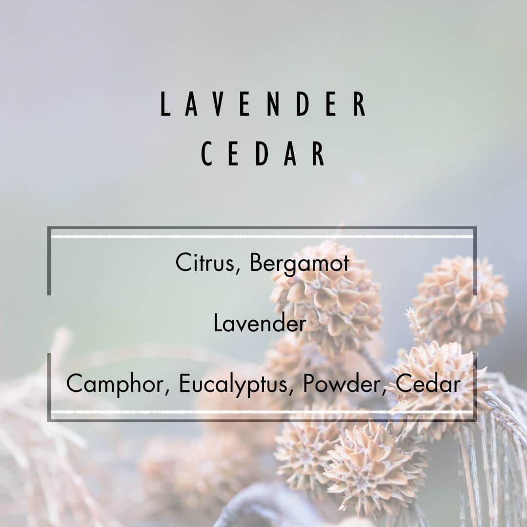 Lavender Cedar Reed Diffuser  - Grand Candles LLC   