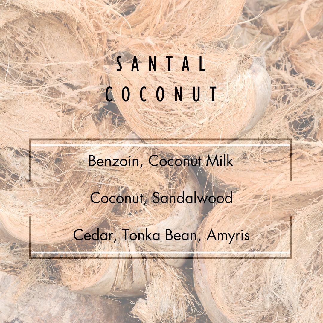 Santal Coconut Reed Diffuser  - Grand Candles LLC   